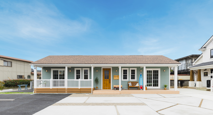 見どころポイント