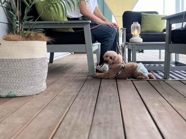 カバードポーチで愛犬と過ごす様子